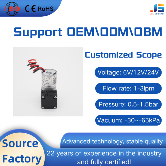 brushless air pump