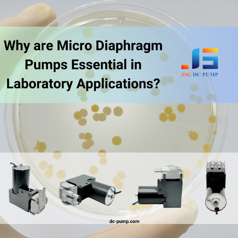 micro diaphragm pumps