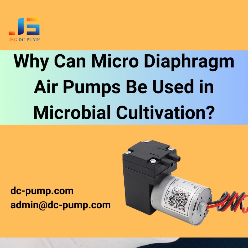 micro diaphragm air pumps